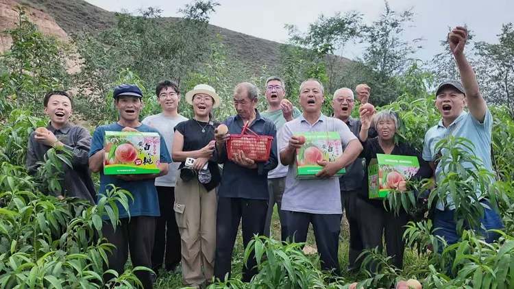 图片 12 图片 12